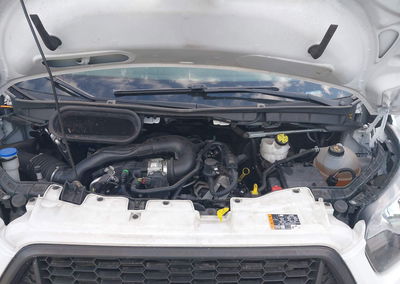 2023 Ford Transit-150, Rear damage, Iaai lot 45020114, photo 10 of 16