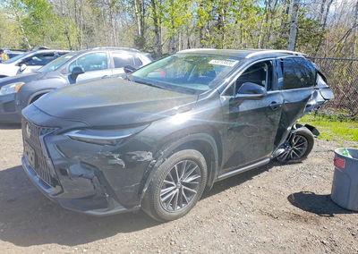 2024 Lexus Nx 350h Premium, пошкодження: Бік, Copart лот 53213836