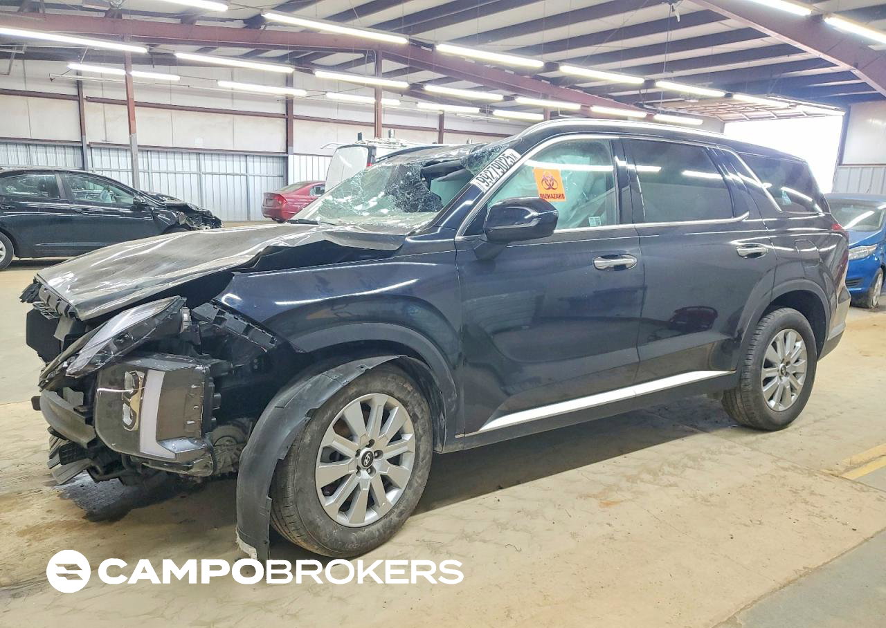 2025 Hyundai Palisade Sel, пошкодження: По всьому кузову, Copart лот 99279025
