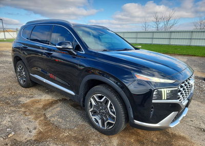2022 Hyundai Santa Fe Limited, uszkodzenie: Grad, Copart lot 50331766, zdjęcie 4 z 15