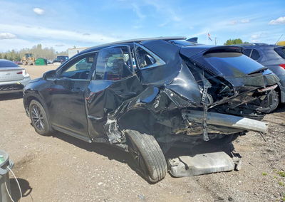2024 Lexus Nx 350h Premium, daño Lateral, Copart lote 53213836, foto 2 de 14