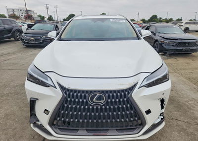 2024 Lexus Nx 350h Premium, Front End damage, Copart lot 59905876, photo 5 of 13