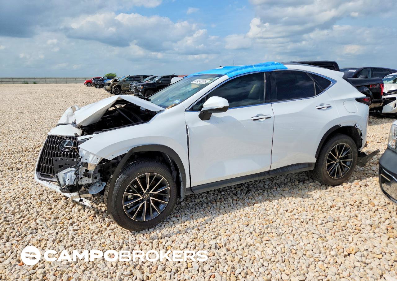 2026 Lexus Nx 350 Premium, Front End damage, Copart lot 49494166
