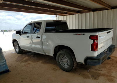 2023 Chevrolet Silverado K1500, uszkodzenie: Grad, Copart lot 56687616, zdjęcie 2 z 12