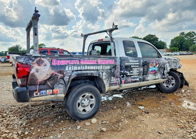 2019 Toyota Tacoma Sr, пошкодження: Передня частина, Copart лот 56706796, фото 3 з 13