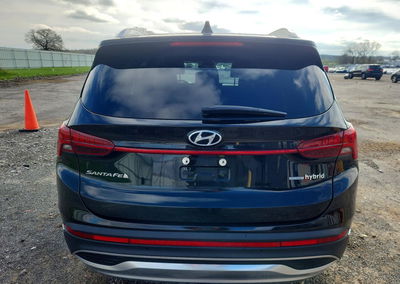2022 Hyundai Santa Fe Limited, uszkodzenie: Grad, Copart lot 50331766, zdjęcie 6 z 15