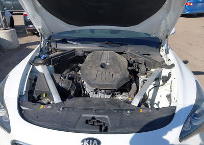 2019 Kia Stinger, daño Normal Wear & Tear, Iaai lote 45204676, foto 10 de 16