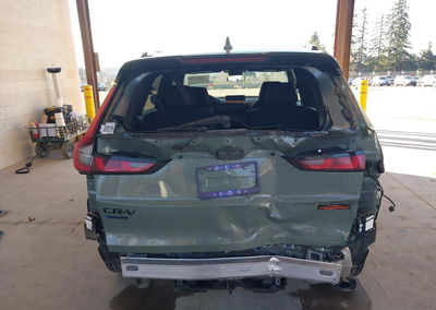2026 Honda Cr-v Hybrid Awd Trailsport, daño Trasero, Iaai lote 44195749, foto 17 de 17