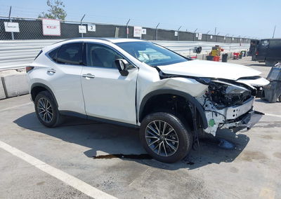 2024 Lexus Nx 350h Premium, Front End damage, Iaai lot 45184689, photo 1 of 17