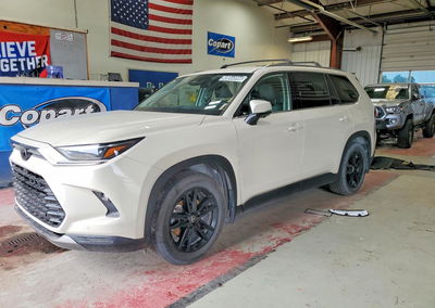 2024 Toyota Grand Highlander Hybrid Limited, Vandalism damage, Copart lot 49844996