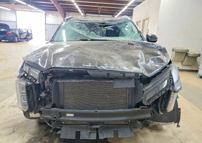 2025 Hyundai Palisade Sel, пошкодження: По всьому кузову, Copart лот 99279025, фото 5 з 13