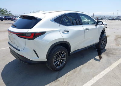 2024 Lexus Nx 350h Premium, Front End damage, Iaai lot 45184689, photo 4 of 17