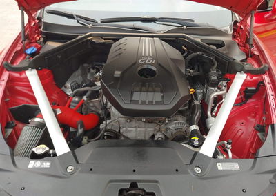 2019 Kia Stinger, daño Normal Wear & Tear, Iaai lote 45409402, foto 10 de 16