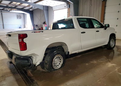 2024 Chevrolet Silverado K1500, daño Frontal, Copart lote 53204506, foto 3 de 13