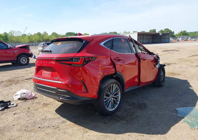 2023 Lexus Nx 350h Premium, daño Biohazard, Iaai lote 44909193, foto 4 de 15
