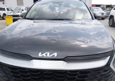 2024 Kia Sportage Sx-prestige, Hail damage, Iaai lot 45123225, photo 6 of 16