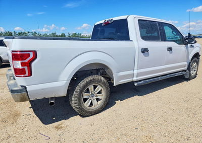 2020 Ford F150 Supercrew, Front End damage, Copart lot 56618296, photo 3 of 13
