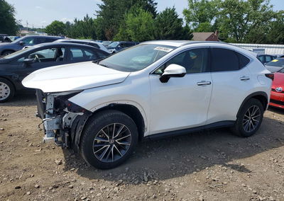 2024 Lexus Nx 350h Premium, пошкодження: Передня частина, Copart лот 58587986