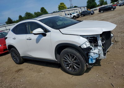 2024 Lexus Nx 350h Premium, пошкодження: Передня частина, Copart лот 58587986, фото 4 з 13