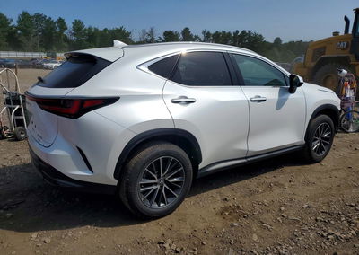 2024 Lexus Nx 350h Premium, пошкодження: Передня частина, Copart лот 58587986, фото 3 з 13
