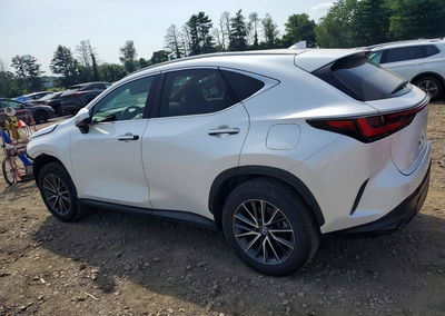2024 Lexus Nx 350h Premium, пошкодження: Передня частина, Copart лот 58587986, фото 2 з 13