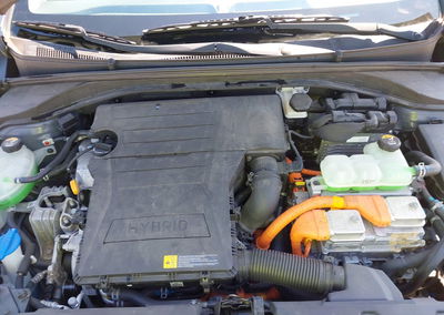 2019 Hyundai Ioniq Hybrid Blue, daño Normal Wear & Tear, Iaai lote 45423357, foto 10 de 21