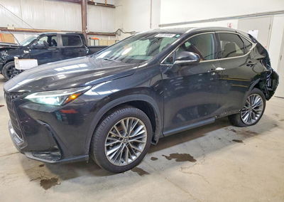 2026 Lexus Nx 350, uszkodzenie: Tył, Copart lot 53070386