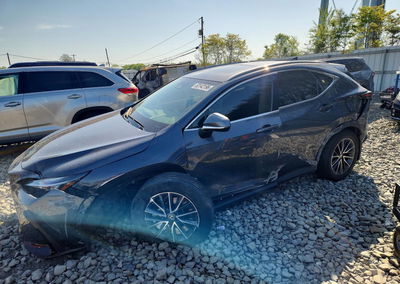 2024 Lexus Nx 350 Premium, пошкодження: Передня частина, Copart лот 52142196, фото 1 з 12
