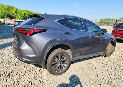 2024 Lexus Nx 350 Premium, пошкодження: Передня частина, Copart лот 52142196, фото 3 з 12