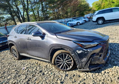 2024 Lexus Nx 350 Premium, пошкодження: Передня частина, Copart лот 52142196, фото 4 з 12