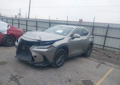 2023 Lexus Nx 350 Premium, Front End damage, Iaai lot 45158373, photo 2 of 16