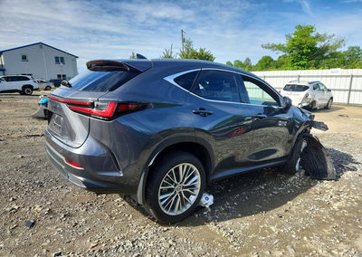 2025 Lexus Nx 350 Premium, пошкодження: Передня частина, Copart лот 54806796, фото 3 з 14