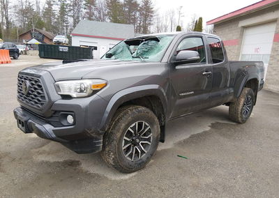 2021 Toyota Tacoma Trd Sport, пошкодження: Правий бік, Iaai лот 44966764, фото 2 з 17