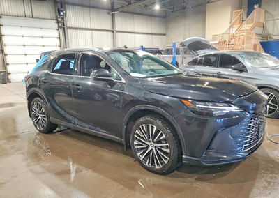 2024 Lexus Rx, Vandalism damage, Copart lot 78434595, photo 4 of 12