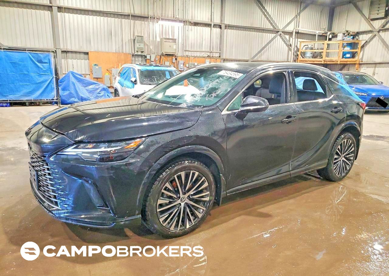 2024 Lexus Rx, Vandalism damage, Copart lot 78434595