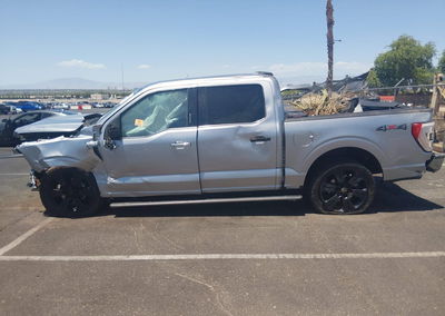 2021 Ford F-150 Platinum, uszkodzenie: Biohazard, Iaai lot 45508375, zdjęcie 13 z 15