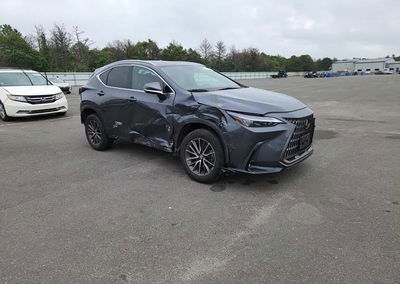 2024 Lexus Nx 350 Premium, пошкодження: Бік, Copart лот 61998536, фото 14 з 15