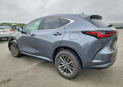 2024 Lexus Nx 350 Premium, пошкодження: Бік, Copart лот 61998536, фото 2 з 15