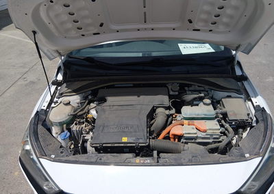 2019 Hyundai Ioniq Hybrid Blue, daño Normal Wear & Tear, Iaai lote 45387020, foto 10 de 17