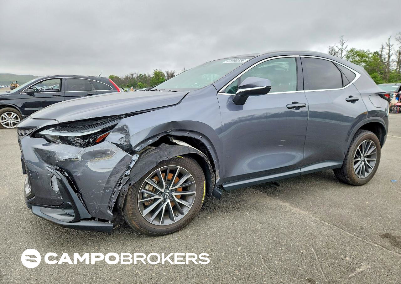 2024 Lexus Nx 350 Premium, пошкодження: Бік, Copart лот 61998536