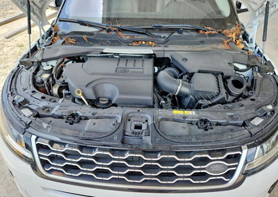 2020 Land Rover Range Rover Evoque S, daño Abolladuras/rayones menores, Copart lote 59268566, foto 12 de 15
