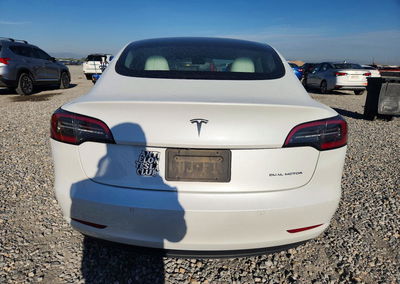 2021 Tesla Model 3, daño Granizo, Copart lote 62838436, foto 6 de 6