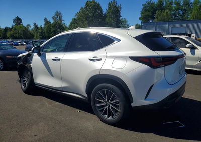 2024 Lexus Nx 350h Premium, uszkodzenie: Przód, Copart lot 57186586, zdjęcie 2 z 13