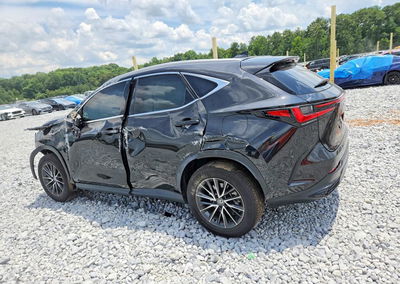 2024 Lexus Nx 250 Premium, All Over damage, Copart lot 60615476, photo 2 of 13