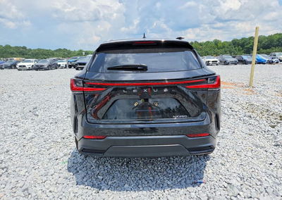 2024 Lexus Nx 250 Premium, All Over damage, Copart lot 60615476, photo 6 of 13