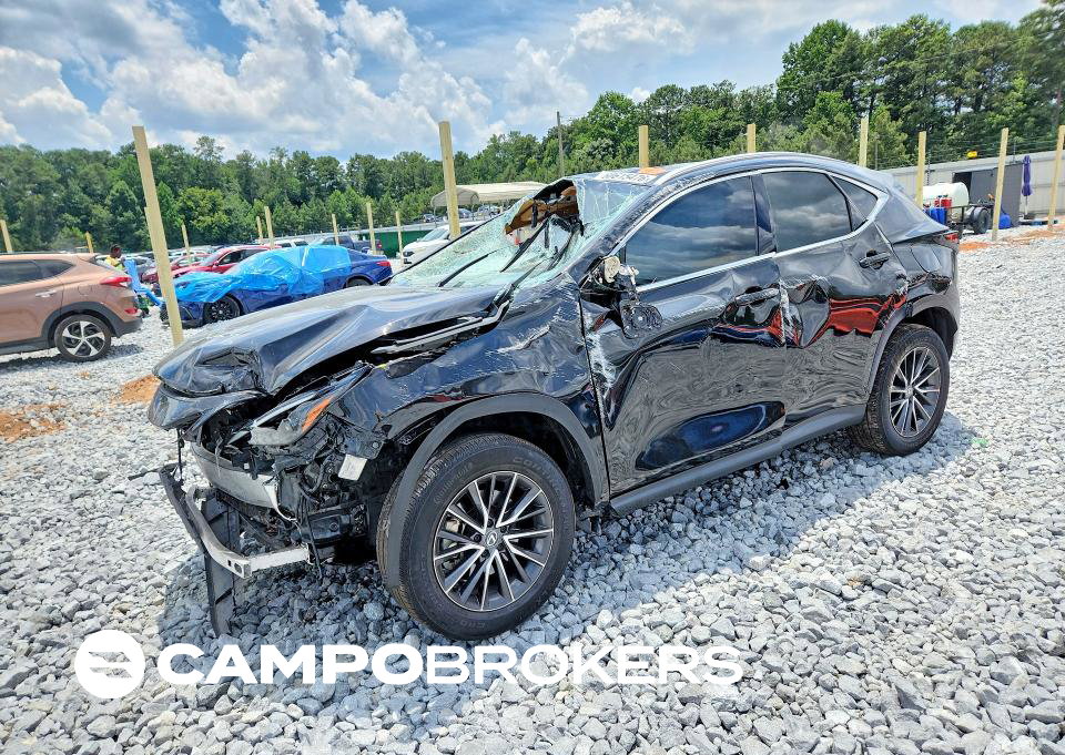 2024 Lexus Nx 250 Premium, All Over damage, Copart lot 60615476