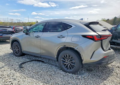 2024 Lexus Nx 350 Premium, Rear End damage, Copart lot 50657106, photo 2 of 13