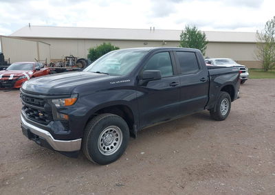 2023 Chevrolet Silverado 1500 4wd  Short Bed Wt, пошкодження: Normal Wear & Tear, Iaai лот 45437420, фото 2 з 16