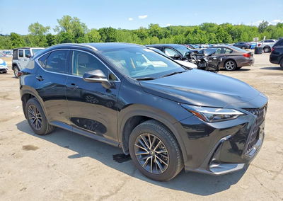 2025 Lexus Nx 350 Premium, пошкодження: Вандалізм, Copart лот 62067046, фото 4 з 13