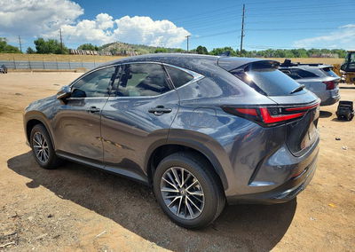 2023 Lexus Nx 350, uszkodzenie: Grad, Copart lot 60530636, zdjęcie 2 z 13